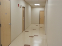 Patient's Hallways